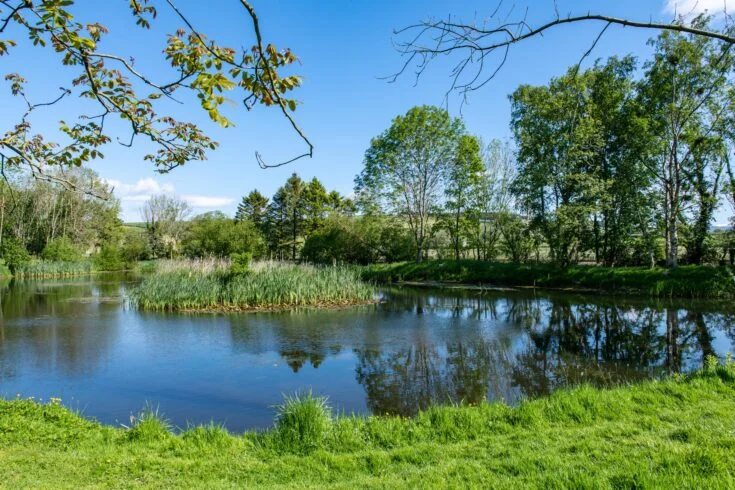 Docker Park near Kirkby Lonsdale